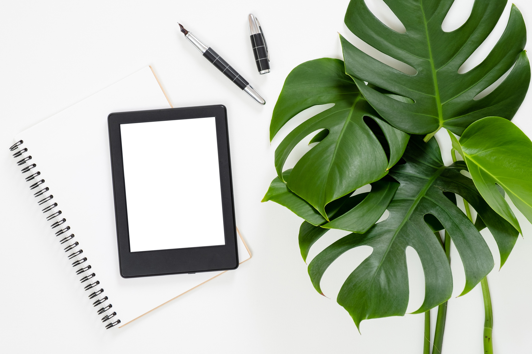 Ebook Reader, Notebook with Monstera Leaves